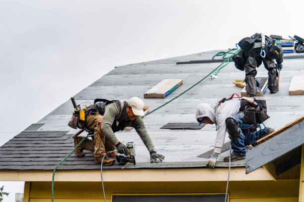 Professional Gutter Installation technician working in Colfax, WA